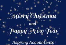 Merry Christmas 2017 from Aspiring Accountants